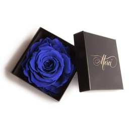 Everlasting Rose Infinity Rose Box Thank You Gift Merci (1 Rose, Blue)