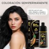 Black Hair Dye Shampoo Tinte Cubrir Canas Hombres Mujeres Cobertura