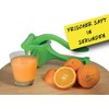 Fruit press juicer