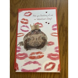 American Greetings Funny Valentine's Day card for anyone .  American Greetings Retails $3.89