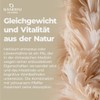 Bandini® Lions Mane Mushroom - Löwenmähne Pilz (25:1-Extrakt) - 365