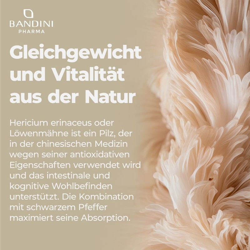 Bandini® Lions Mane Mushroom - Löwenmähne Pilz (25:1-Extrakt) - 365