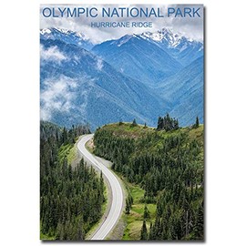 REFRIGERATOR MAGNET Hurricane Ridge Olympic National Park Travel Refrigerator Magnet Size 2.5 x 3.5, Multicolor