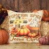 Patioland Set of 4 Pumpkin Throw Pillow Covers 16 x