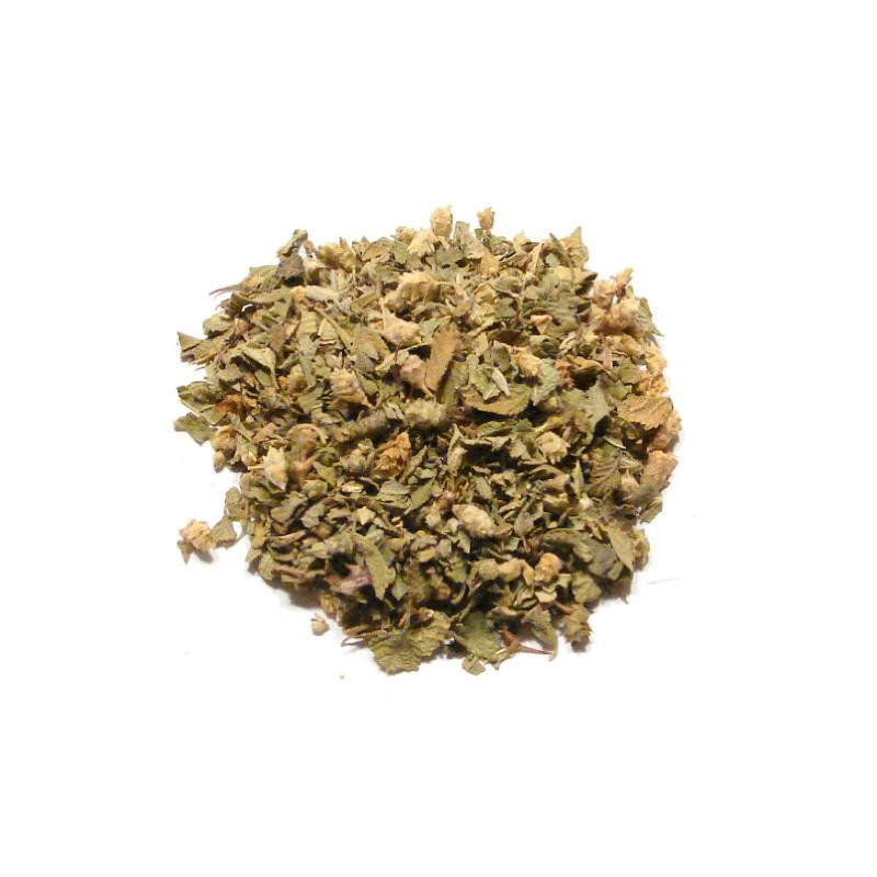 Mexican Oregano - 4 Ounces - Lippia graveolens southwestern Oregano