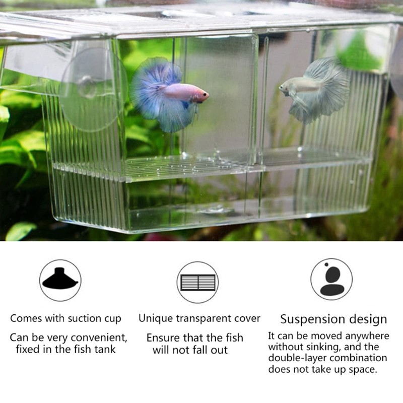 Breeding Isolation Case, Clear, Multi-functional, Fry Isolation, Breeding Protection, Spawning,