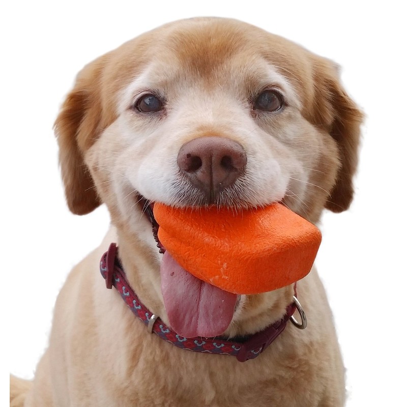 Ruff Dawg Rock Dog Toy