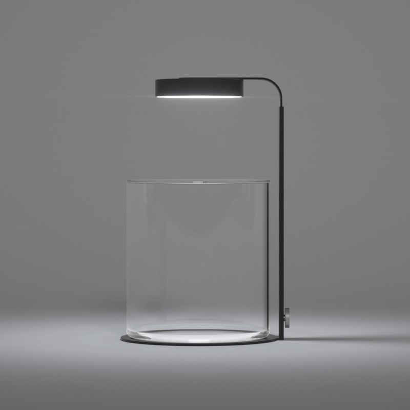 LANDEN Miniature Terrarium Glass Jar Kit – Complete DIY Mini