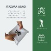 ITAZURA USAGI Golf Golf Marker & Green Fork (Silver) Competition