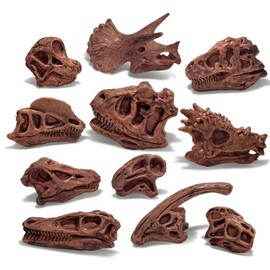LC JoyCre 11PCS Realistic Mini Dinosaur Bones Set T-rex Skull for Sandbox Kids Toys Carnotaurus Velociraptot Brachiosaurus Oviraptor Nigersaurus Diplodocus Dilophosaurus Dracorex Triceratops