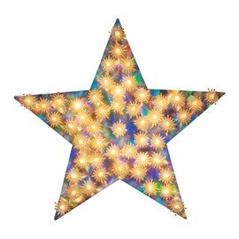 LAMPHOME 14'' 70 Lighted Star Christmas Window Silhouette Decoration Lights,Decorative Lighted Star, Glowing Snowflake Lights for Christmas,Party,Home,Patio Lawn,Garden