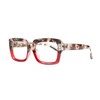 CASS | Bone Tortoise | Deep Red | Blue Light