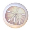 Sand Dollar Sanddollar Design #001 - Seashells Sea Shells -