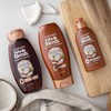 Garnier Hair Care Whole Blends Smoothing Hair Care Shampoo Set