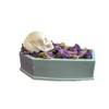 Horrifying Handmade Guest Soaps (Coffin with Skull)