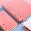 Filofax A4 Clipbook Rose
