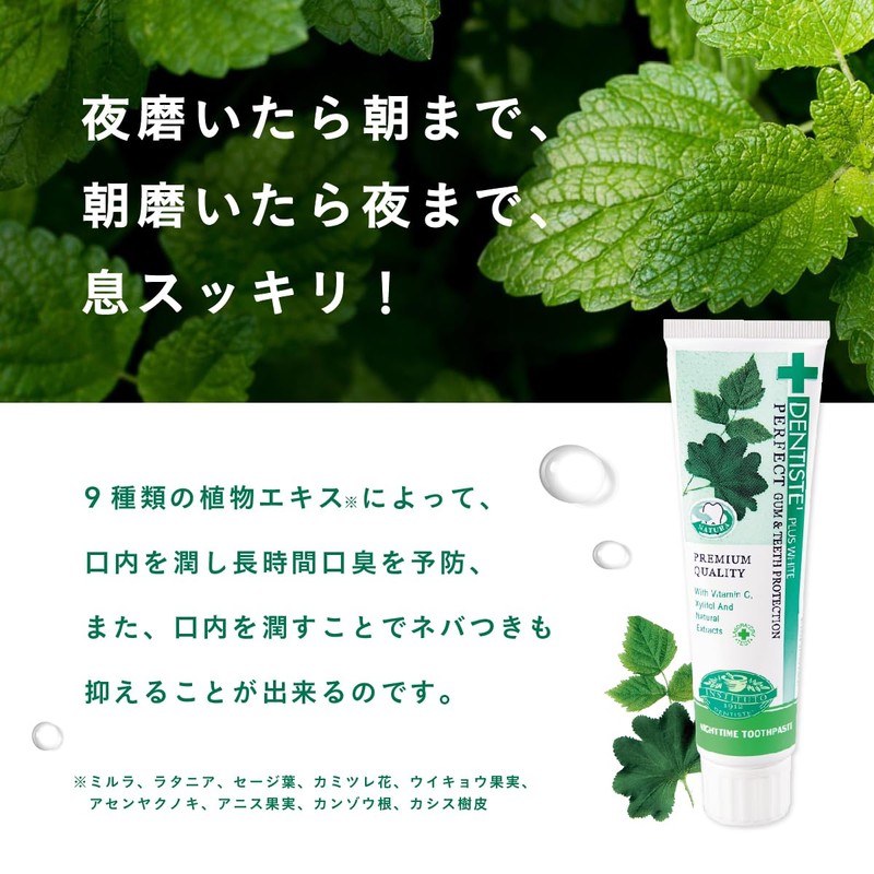 Denti.s Etiquette Paste Toothpaste 100g Mint
