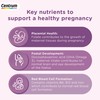 Centrum Pregnancy Vitamins for Women, Pregnancy Vitamins with DHA, Omega