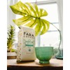 Fara Coffee, Ground (Decaf (Medium/Dark), 12 Oz)