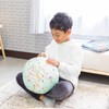 Terrette [Snuggly Huggable Globe] S Size Standard (Blue Type) Japanese