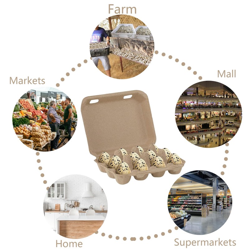 QIUMING Quail Egg Boxes Quail Eggs Reusable Box Egg Cardboard