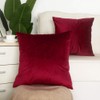 Artcest Set of 2, Cozy Solid Velvet Throw Pillow Case,
