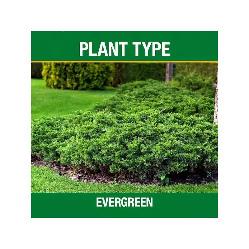 Vigoro Tree, Shrub & Evergreen Fertilizer 16-4-8 - 3.5 lb.