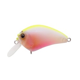 IXI BLOWLY Baby Goldfish CB