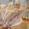Dried Squid Dried Cuttlefish (100g(3.53oz))