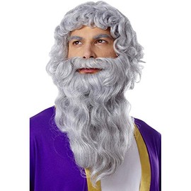 Costume Culture Men's Biblical Wig and Beard, Grey, One Size