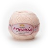 Hilaza Armonía Omega, bola de 100 gramos (Carne)