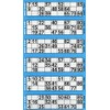 Thomas & Anca Club Supplies Ltd 600 Bingo Tickets -