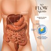 Dr Clark Store Intestine Support & Cleanse Kit - with