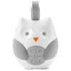 Skip Hop Stroll and Go Portable Baby Soother, Owl