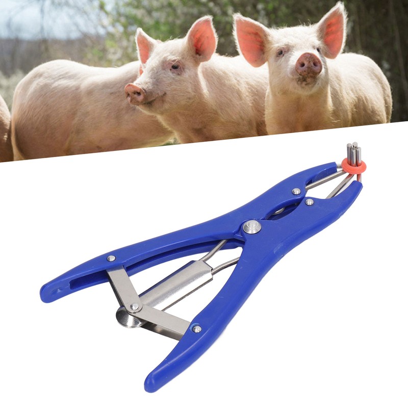 Castration Plier with 100pcs Red Castrator Rubber Rings Tail Docking