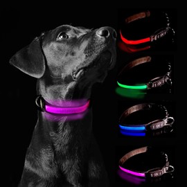 Glow Fetch It! HD Ultra Bright LED Safety Dog Collar, Adjustable, USB Rechargeable with 3 Modes, Water Resistant, Extremely Durable and Easy to Clean (Pink, Medium)