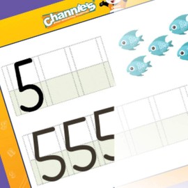 Channie's Dry Erase Alphabet/Number Flash Cards, 5.5W x 4.25 L x 0.25H, White, Model:B500