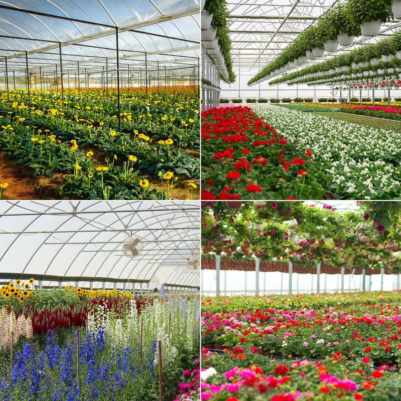 SANSI Greenhouse LED Grow Light 200W 15400LM Full Spectrum Energy