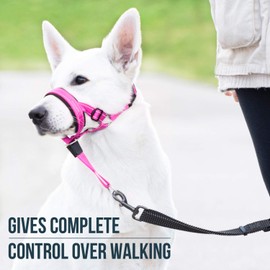 GoodBoy Dog Head Halter with Safety Strap - Stops Heavy Pulling On The Leash - Padded Headcollar for Small Medium and Large Dog Sizes - Head Collar Training Guide Included (Size 2, Pink Nylon)