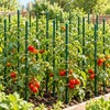 Garden Stakes for Tomatoes, Cucumbers & Climbing Plants – 20-Piece
