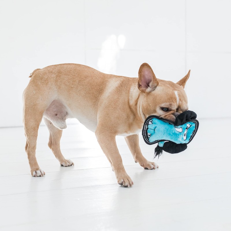 Outward Hound Tough Seamz Elephant Plush Dog Toy, Small
