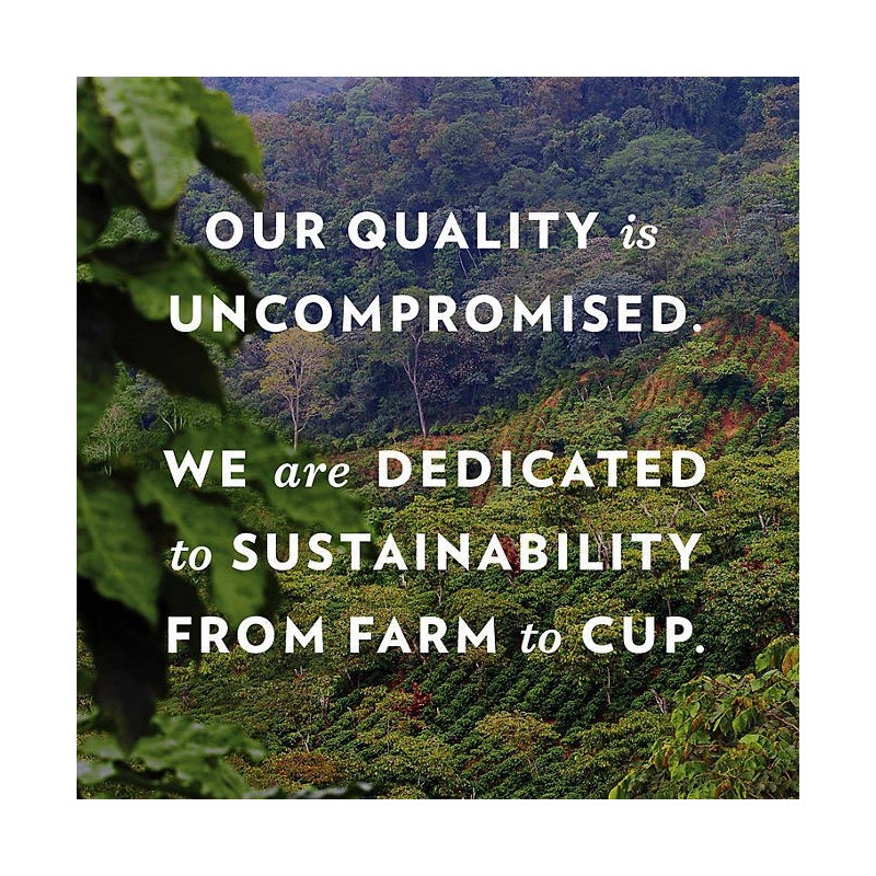 Community Coffee Dark and Bold Espresso Roast Single Serve (72