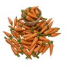 AIICraft 20 Vegetable Loose CarrotHandcrafted Decorative Home Garden