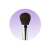 Picasso Collezioni Brush 108 Blusher, Mixed Colors, 1 Piece