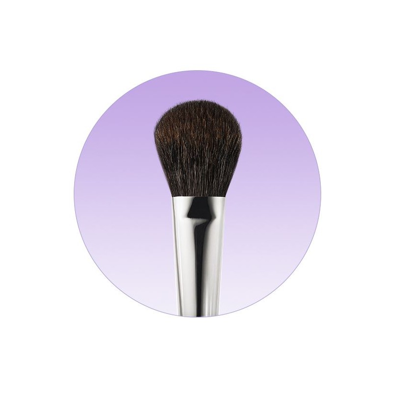 Picasso Collezioni Brush 108 Blusher, Mixed Colors, 1 Piece