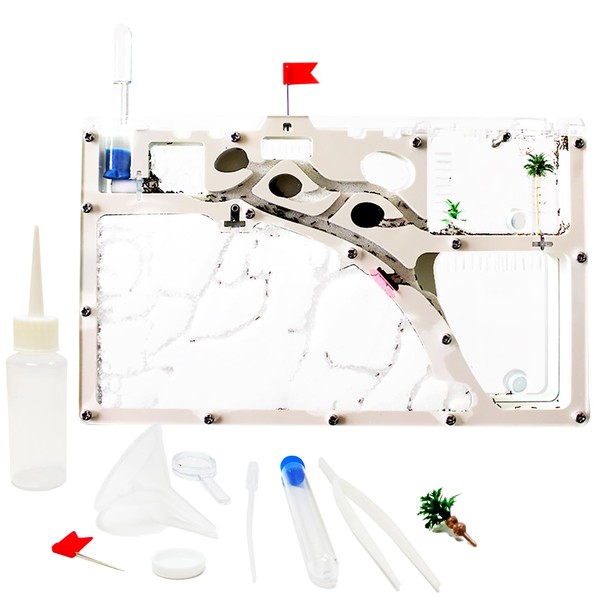 EXBEPE Sand Ant Farm Castle Ant Colony Ecosystem Science Educational
