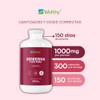 Wellthy Berberina Pura 300 Cápsulas. 100 Berberis Aristata, 500mg cu,