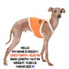 D Doggy Star Italian Greyhound Clothes Summer Cooling String Sleeveless