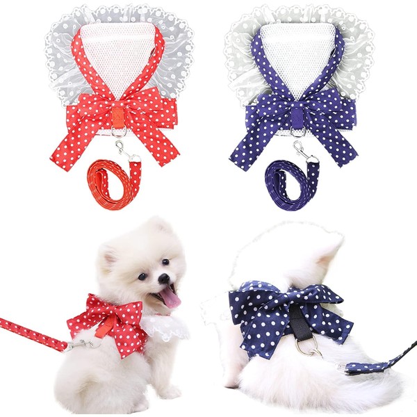 2 Pack Dog Harness and Leash Set Dot Bow Chest