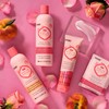 HASK ROSE OIL + PEACH Shampoo and Conditioner Set -